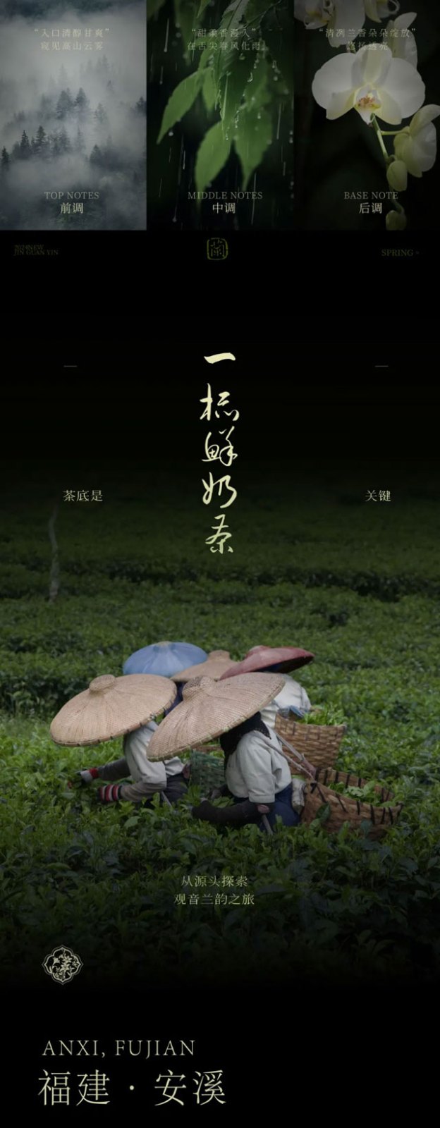 A pot of tea amidst the flowers the fragrance of orchids and the taste of Golden Tieguanyin