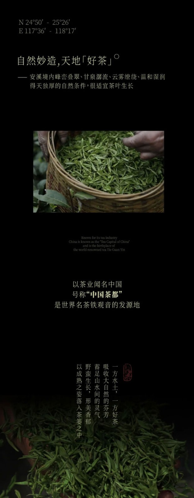 A pot of tea amidst the flowers the fragrance of orchids and the taste of Golden Tieguanyin