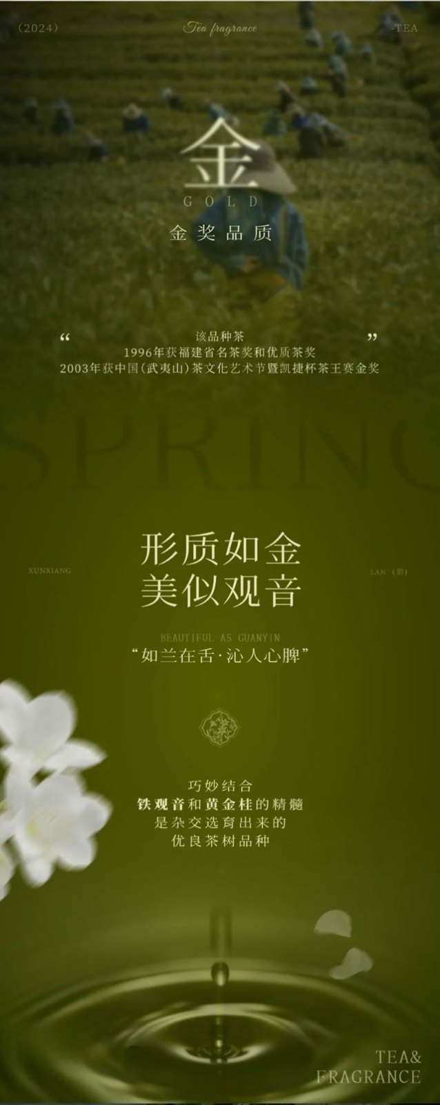 A pot of tea amidst the flowers the fragrance of orchids and the taste of Golden Tieguanyin