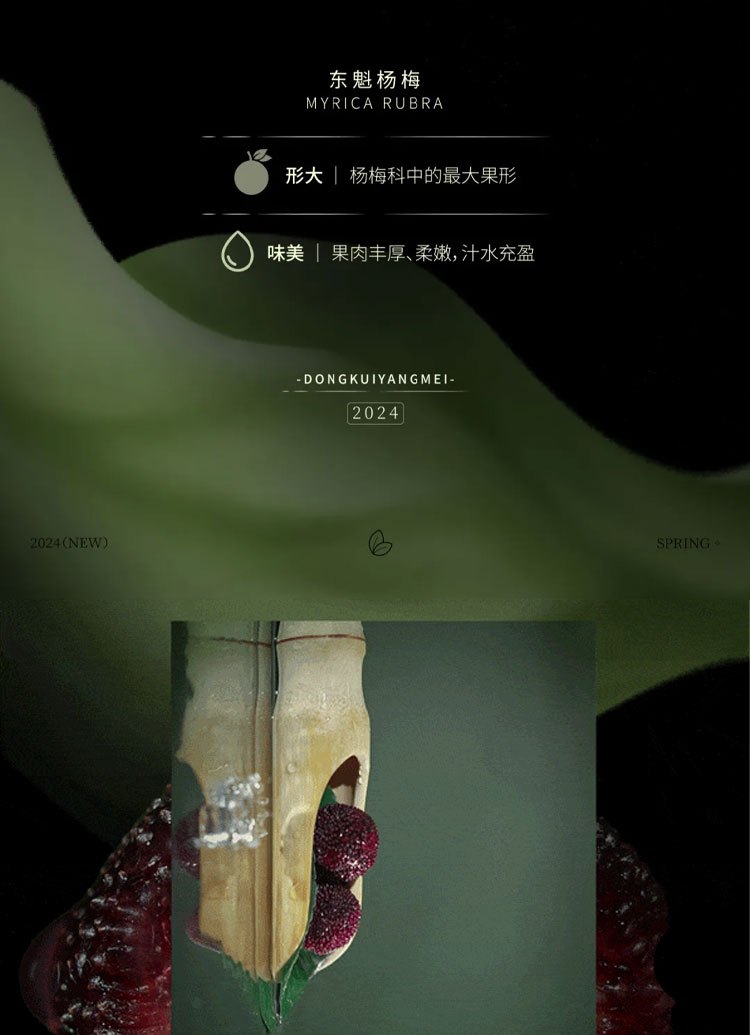 Early Summer Debut Jiangnans Exquisite Plum and Lychee Drink