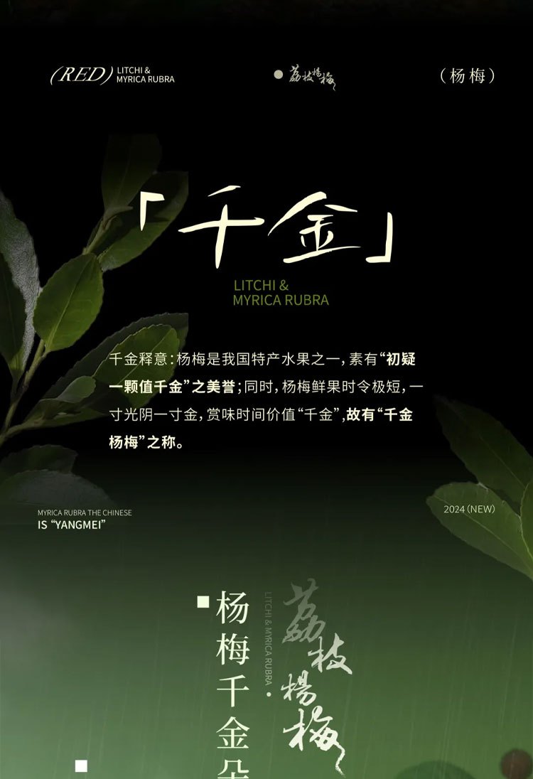 Early Summer Debut Jiangnans Exquisite Plum and Lychee Drink