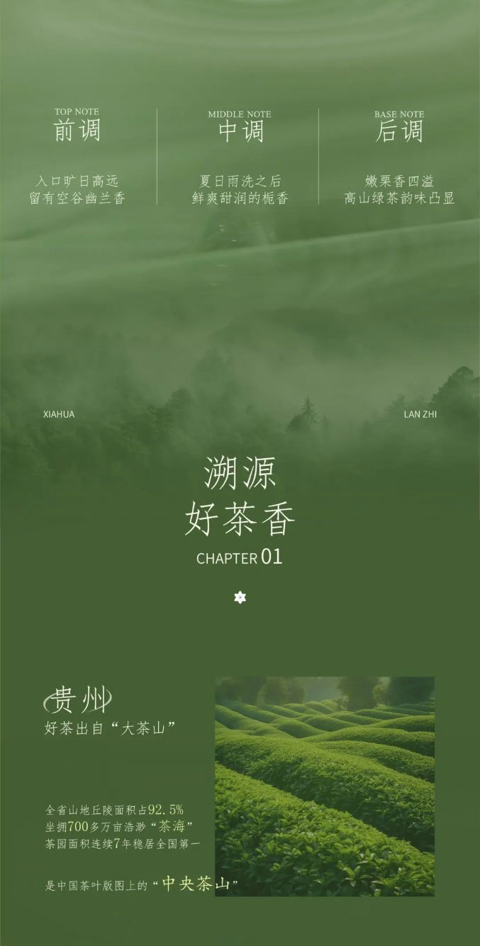 Live Like Summer Flowers Glowing Orchids and Gardenias