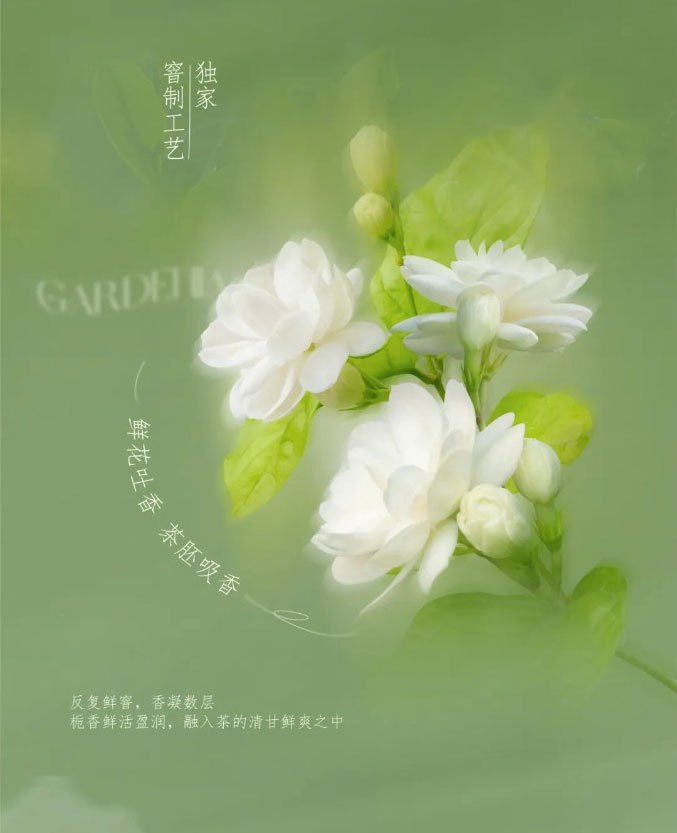 Live Like Summer Flowers Glowing Orchids and Gardenias