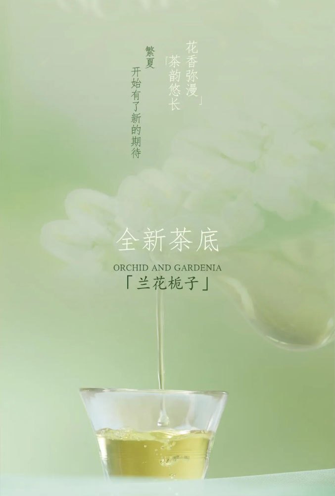 Live Like Summer Flowers Glowing Orchids and Gardenias