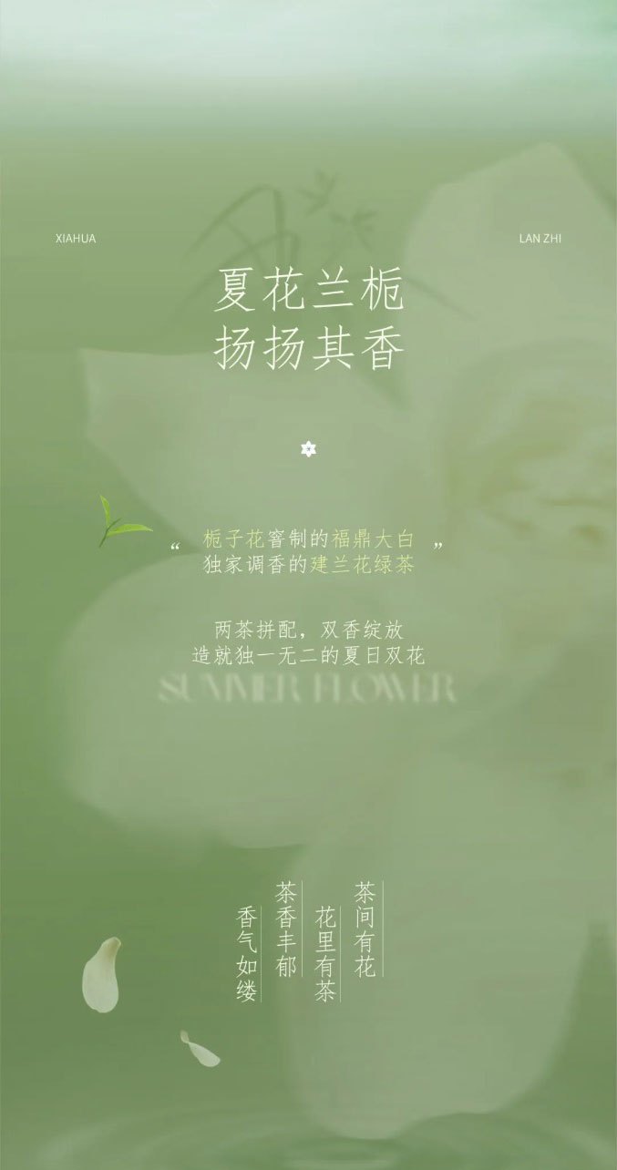 Live Like Summer Flowers Glowing Orchids and Gardenias