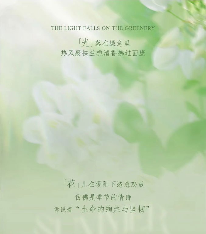 Live Like Summer Flowers Glowing Orchids and Gardenias