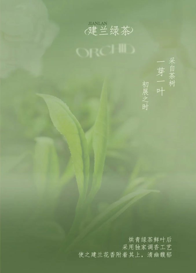 Live Like Summer Flowers Glowing Orchids and Gardenias