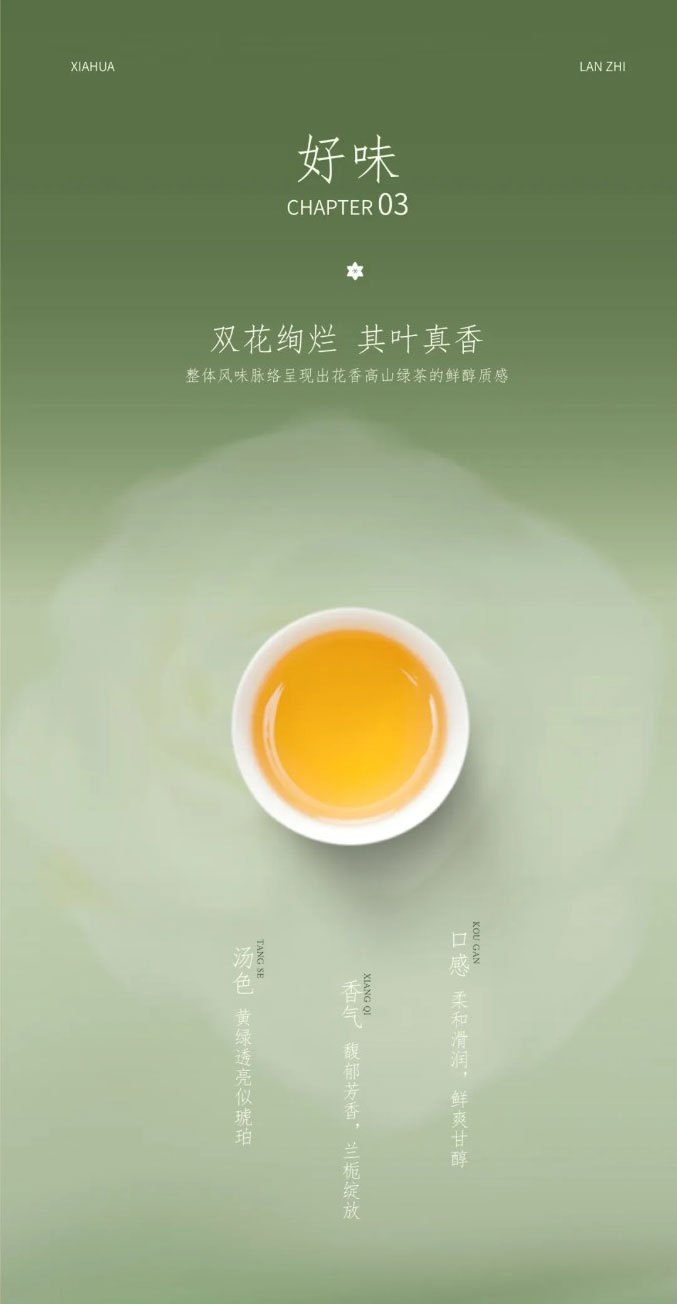 Live Like Summer Flowers Glowing Orchids and Gardenias