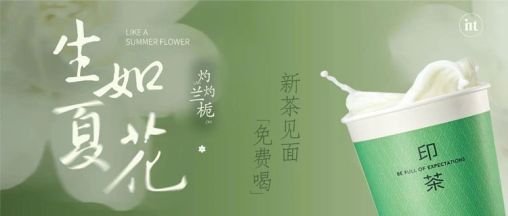 Live Like Summer Flowers, Glowing Orchids and Gardenias