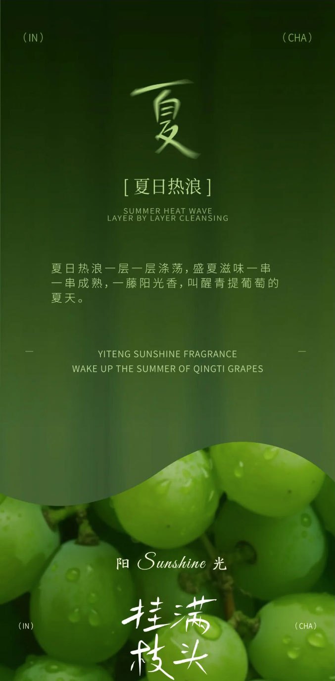 Green grapes the fragrance of sunshine  New green grape fruit tea available now