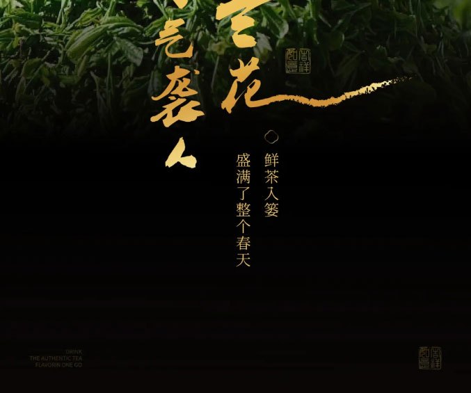 INCHA Autumn New Tea Beverages  Discover New Flavors Sip the Entire Autumn