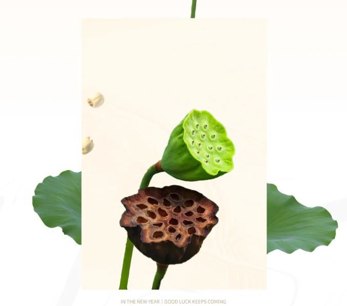 First cup of milk tea in 2025 may good luck come like a lotus