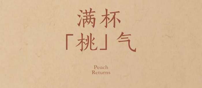 Seasonal Peaches Are Back Fall in Love with the Juicy Summer