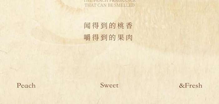 Seasonal Peaches Are Back Fall in Love with the Juicy Summer